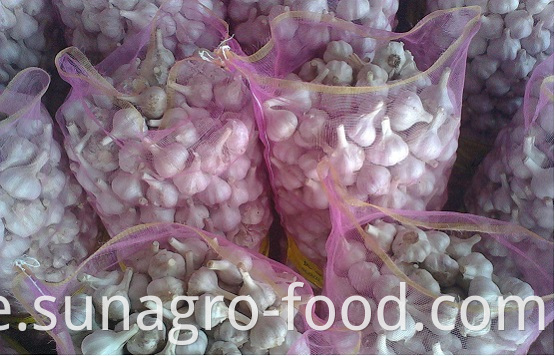 Bagged White Garlic